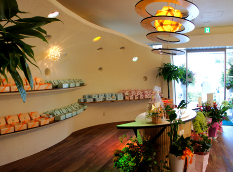 店舗改装(ケーキショップ）